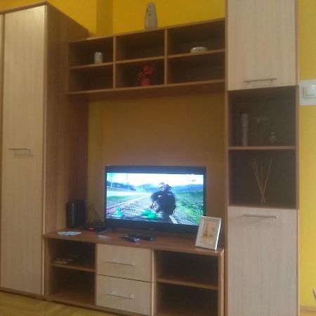 Apartman Marina Sa Garazom Novi Sad Esterno foto