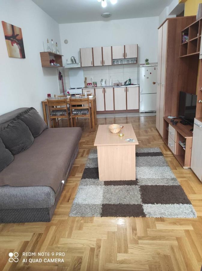 Apartman Marina Sa Garazom Novi Sad Esterno foto