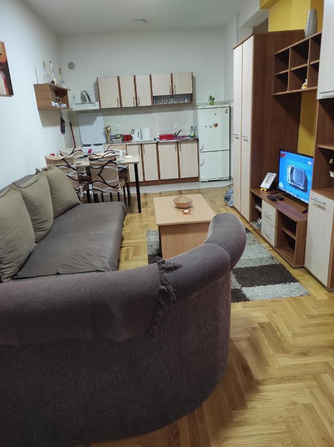 Apartman Marina Sa Garazom Novi Sad Esterno foto