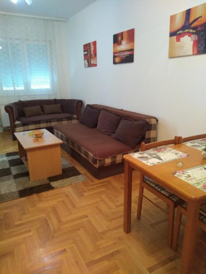 Apartman Marina Sa Garazom Novi Sad Esterno foto