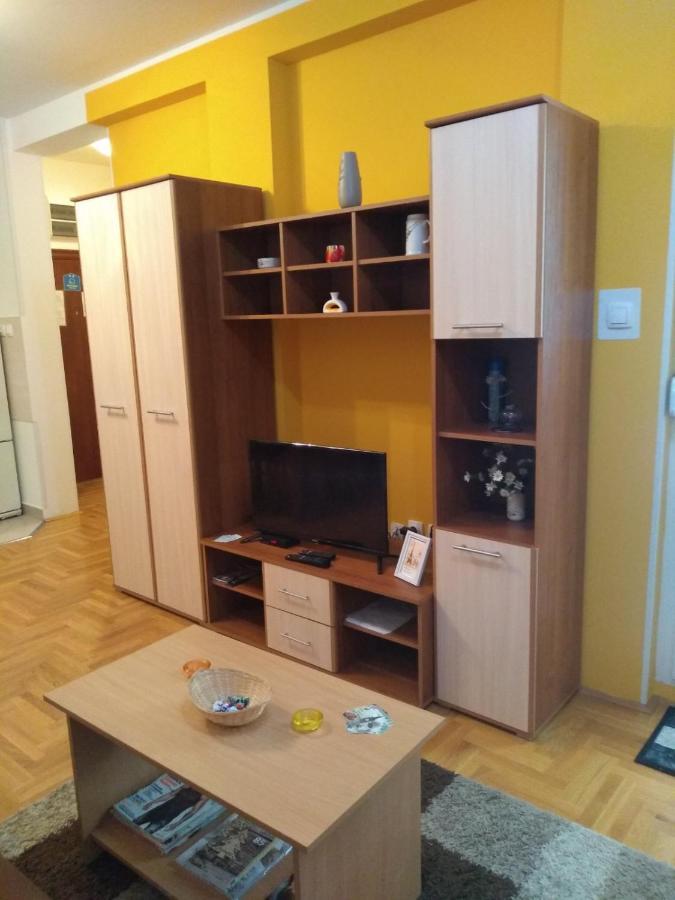 Apartman Marina Sa Garazom Novi Sad Esterno foto